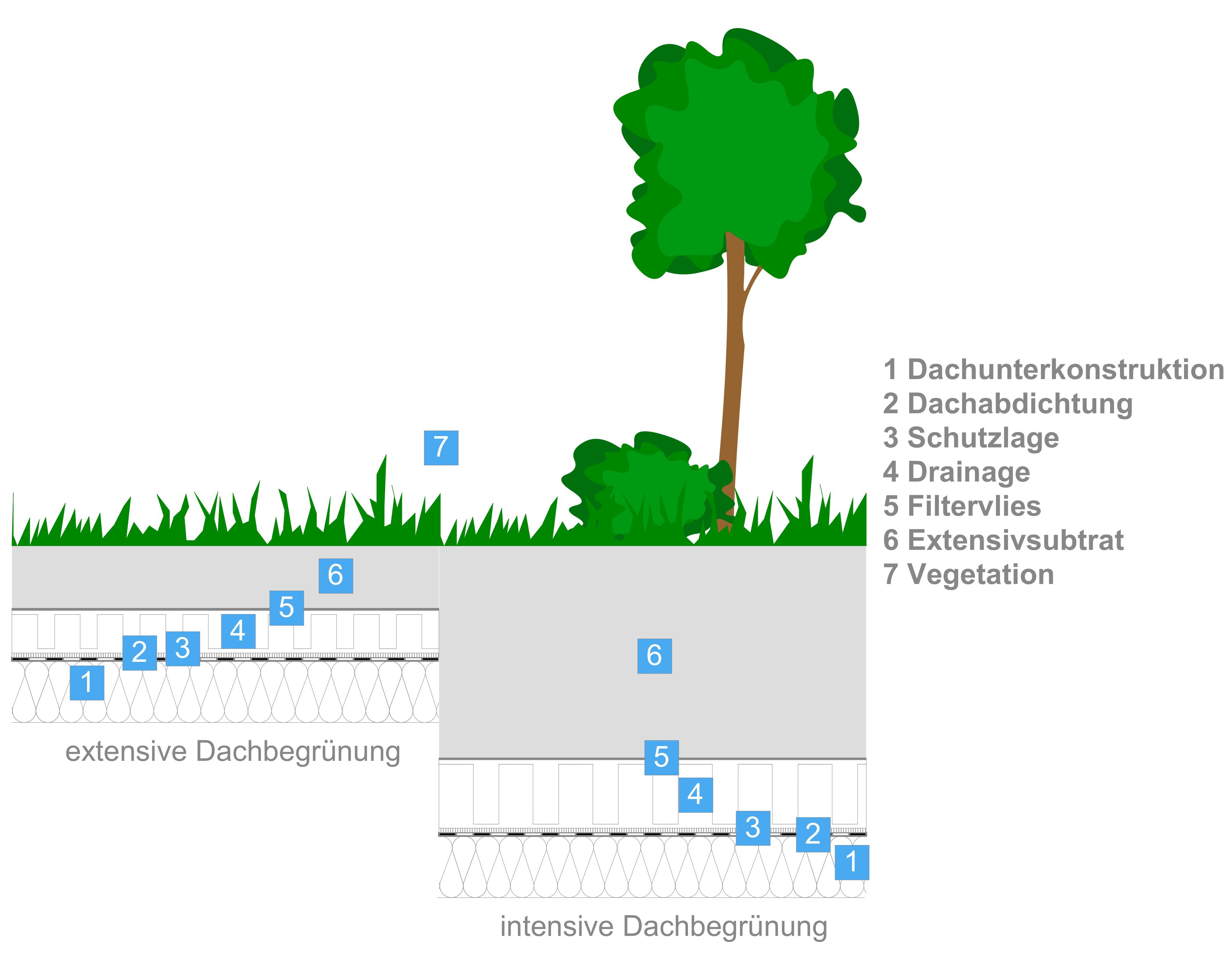 Informationen Zum Thema Dachbegr nung informationen-zum-thema-dachbegr-nung