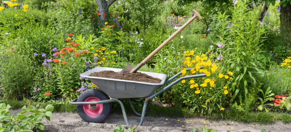 Ist ein Garten ein Ökosystem?
