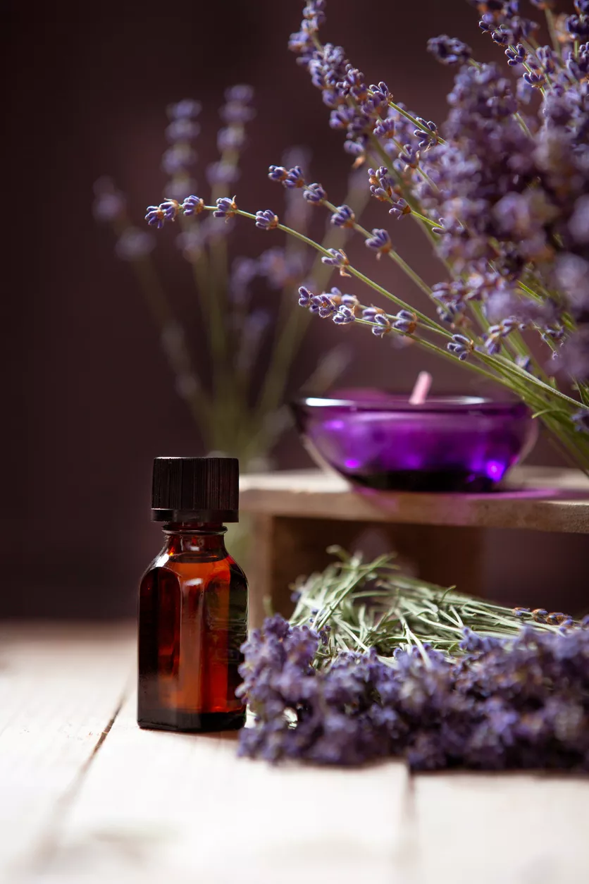 Wie wird man Staubläuse los?