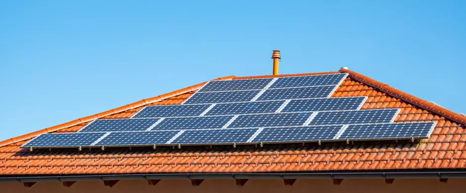 Nachhaltigkeit und ökologische Lebensweise