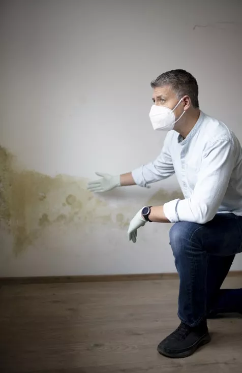 Mietvertrag widerrufen 