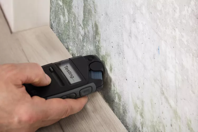 Feuchte Wand messen mit Feuchtigkeitsmessgerät