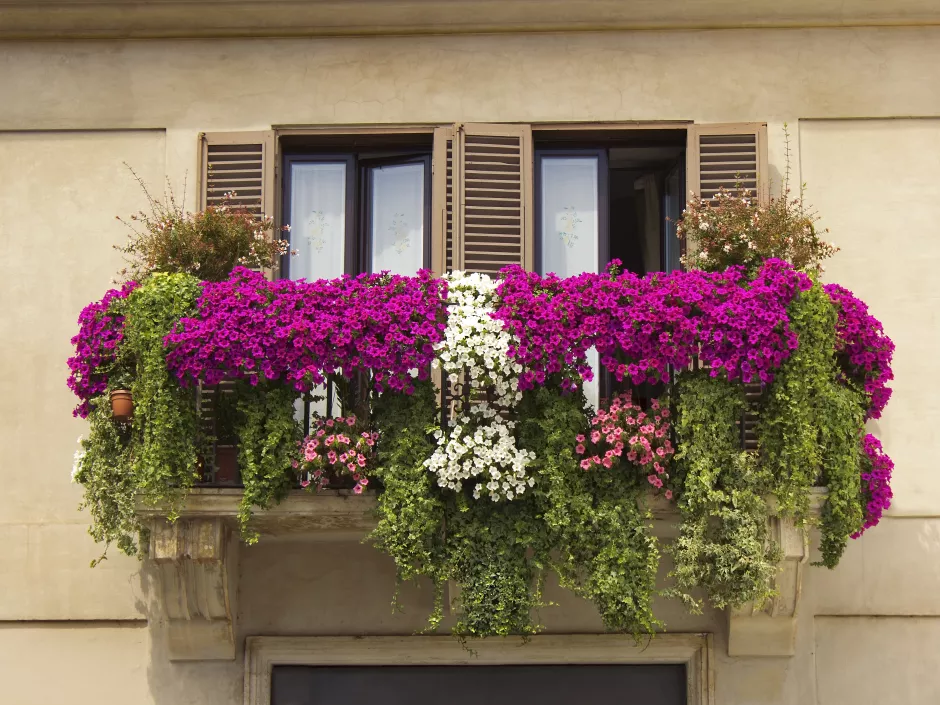 Informationen zum Thema Sichtschutz am Balkon