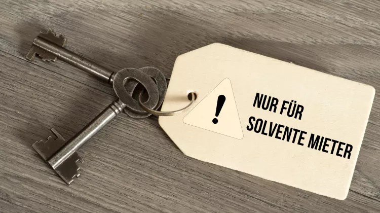 Stärken und Schwächen der Mieterselbstauskunft