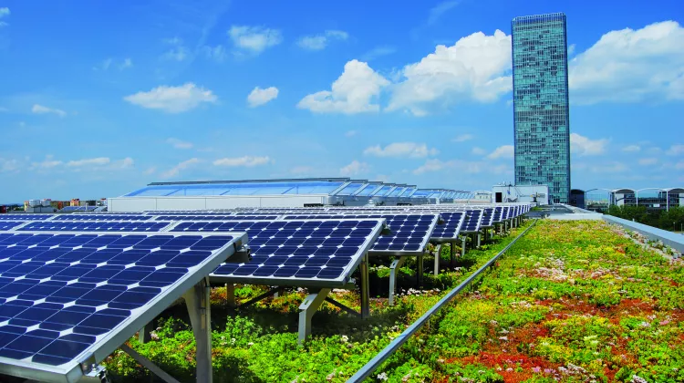 Solaranlage und Gründach sind durchaus kombinierbar