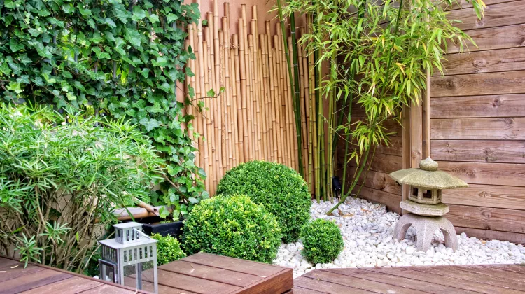 Bambus versus Teakholz: Welche Vorteile haben Terrassendielen aus Bambus?
