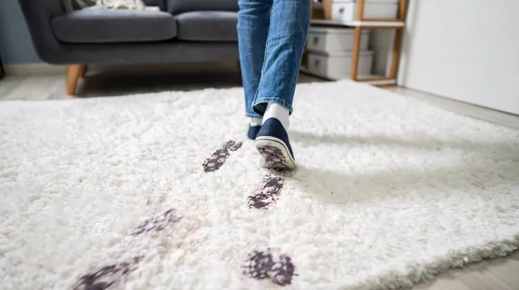 Teppich reinigen: Welche Hausmittel sind dafür geeignet?