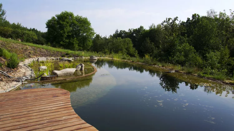 Schwimmteich bauen: Natürlich Baden im eigenen Garten