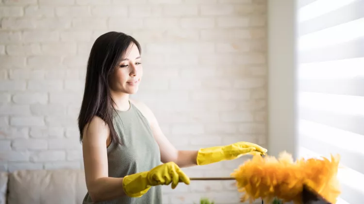 Staub wischen: 7 Tipps um Staub den Kampf anzusagen