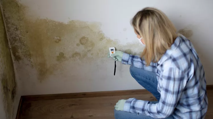 Wie kann man prüfen ob die Wand feucht ist?