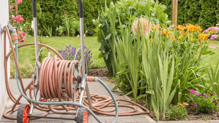 Gartenwasserzähler: Geld beim Gießen sparen