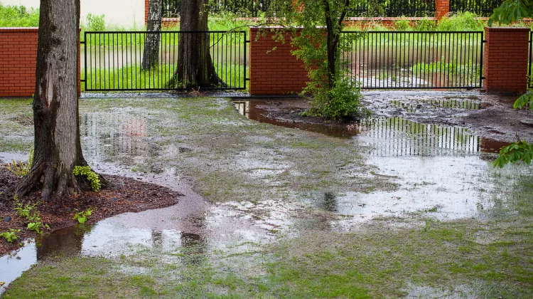 Regenwasserversickerung auf dem eigenen Grundstück: Pflicht oder Kür?