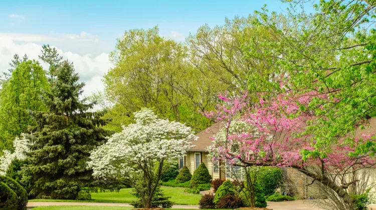 Mit diesen 4 Gestaltungs-Tipps wird der Garten romantischer denn je