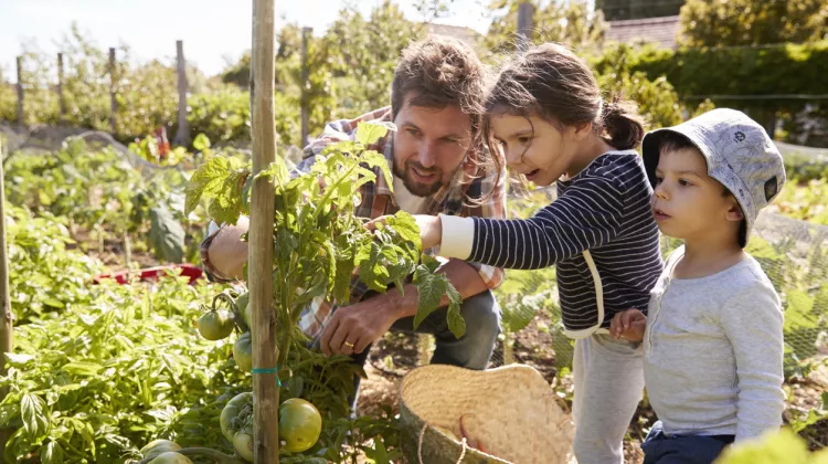 Was ist ein nachhaltiger Garten? Infos & Tipps zum verantwortungsbewussten Gärtnern im Eigenheim!