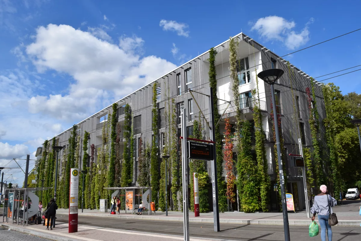 Fassadenbegrünung des Green City Hotels Vauban in Freiburg 