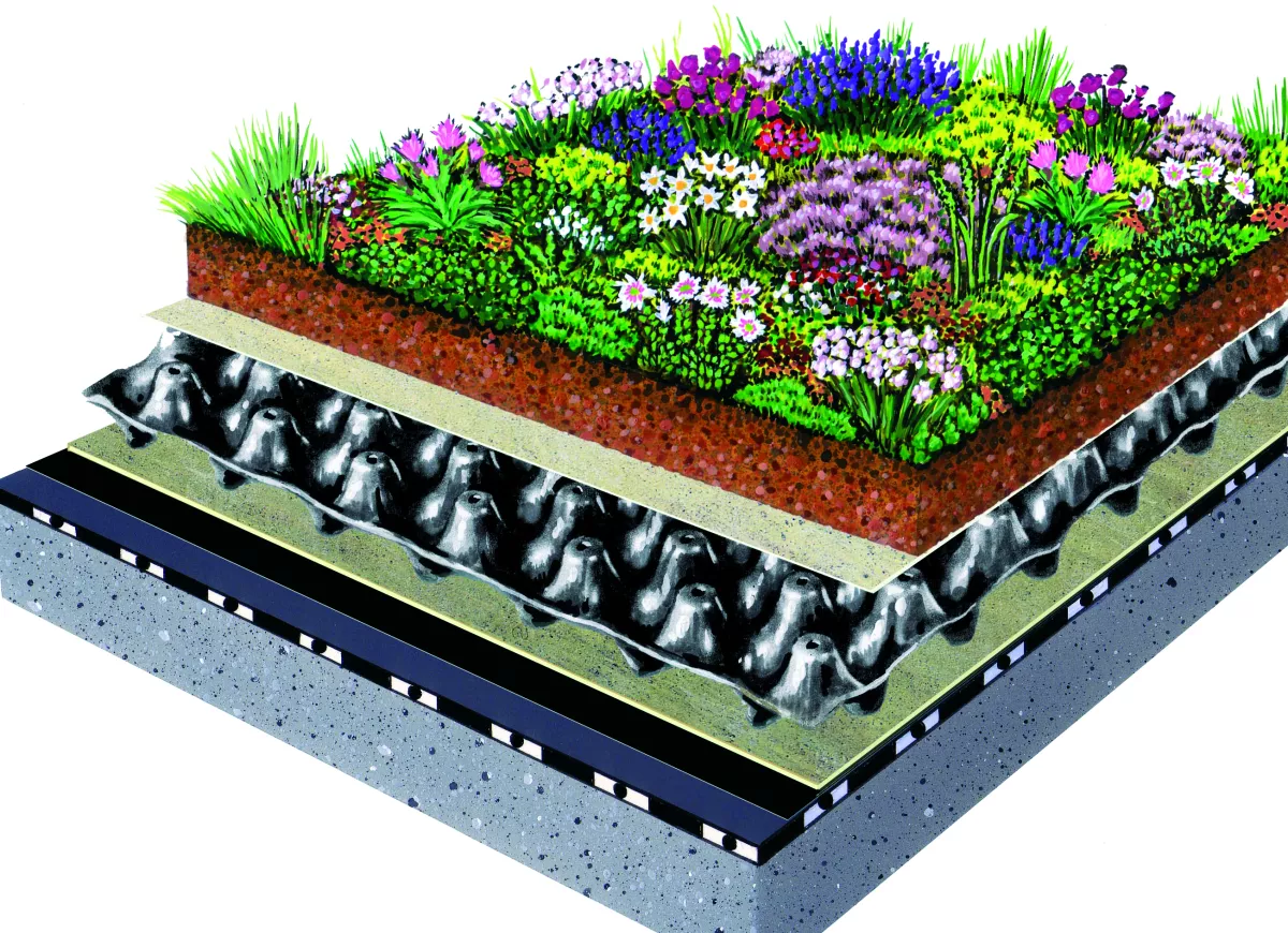 Systemaufbau einer extensiven Dachbegrünung