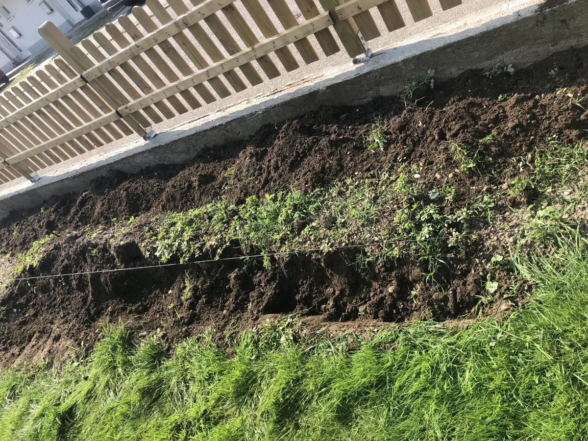 Gartengestaltung durch Hecke entfernen, Beet anlegen und Zaun errichten