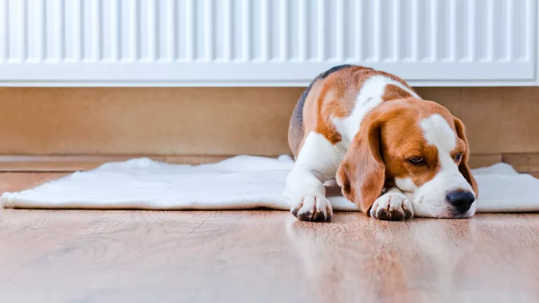 Grundlagen Hausbau – Die Heizung