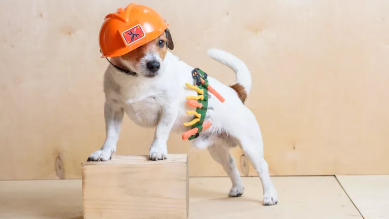 So sorgen Sie für Sicherheit auf der Baustelle: Versicherung und Haftung