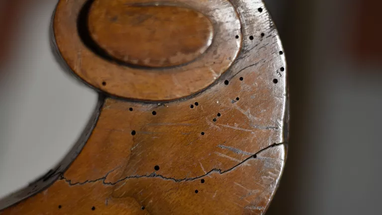 Holzwurm: Wie bekämpfen Sie ihn erfolgreich? 