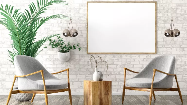 Große Zimmerpflanzen: Mehr als dekorative Eyecatcher