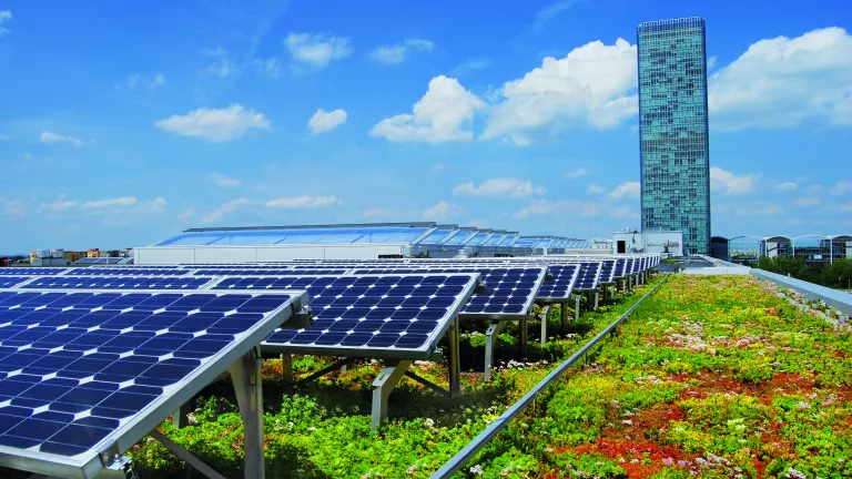 Solaranlage und Gründach sind durchaus kombinierbar
