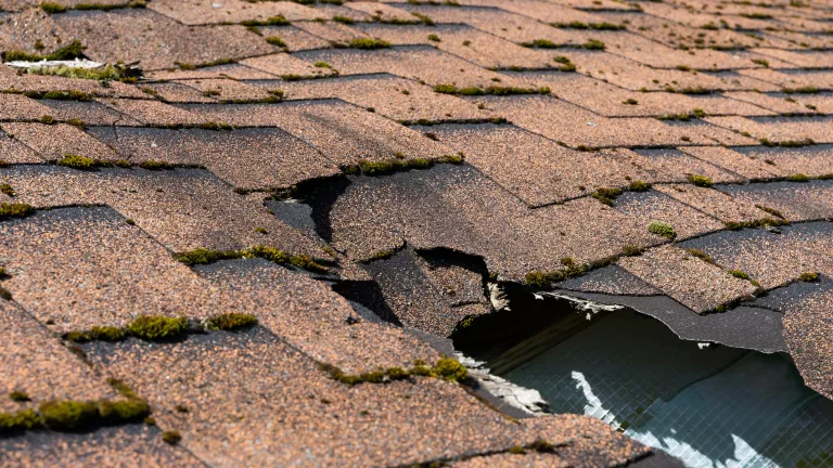 Wie entsorge ich Dachpappe und wie viel kostet das?