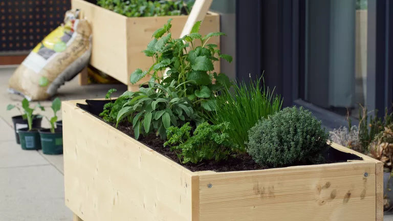 Hochbeet auf dem Balkon – was gilt es zu beachten?