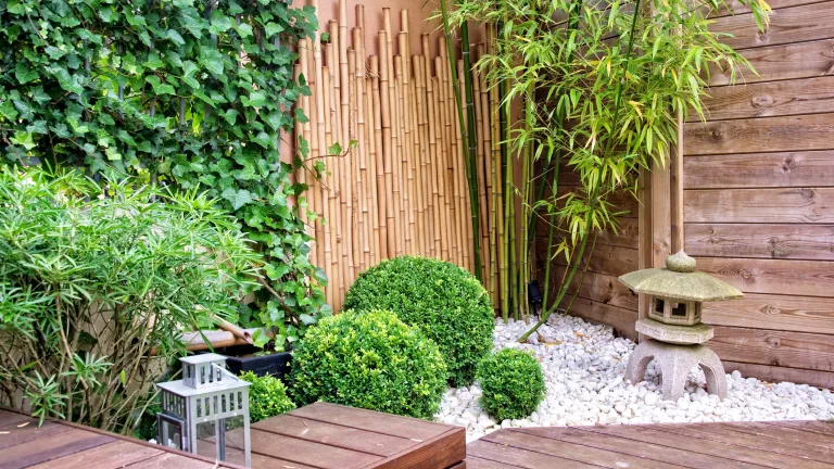 Bambus versus Teakholz: Welche Vorteile haben Terrassendielen aus Bambus?