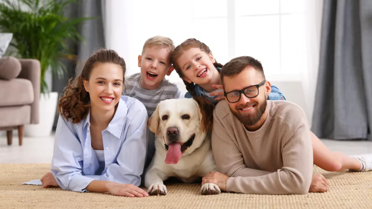 Haustiere in der Wohnung: Welche Rechte haben Mieter?