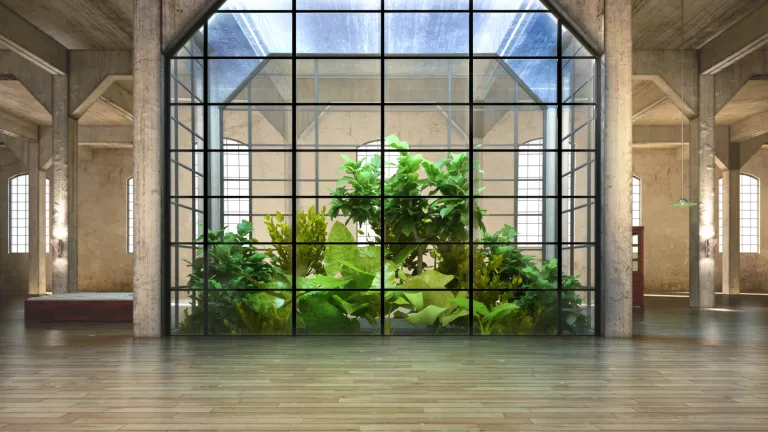 Das Atriumhaus – Tipps zur Planung und die Geschichte vom Haus mit Hof