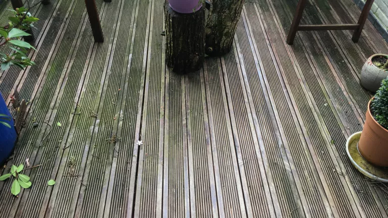 Moos entfernen: So werden Terrasse und Rasen wieder ansehnlich