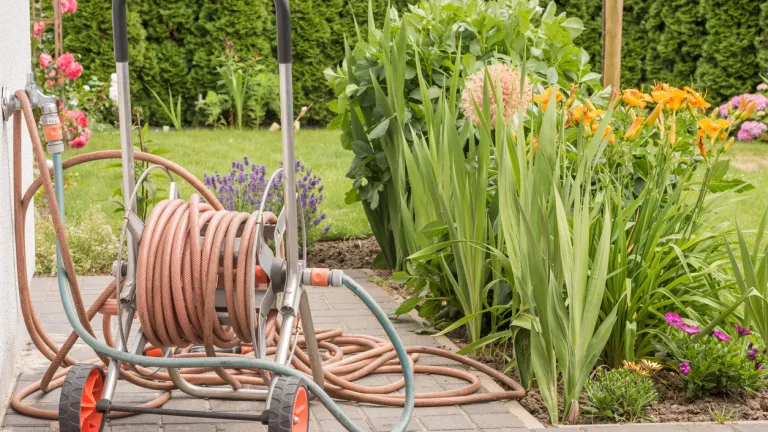 Gartenwasserzähler: Geld beim Gießen sparen