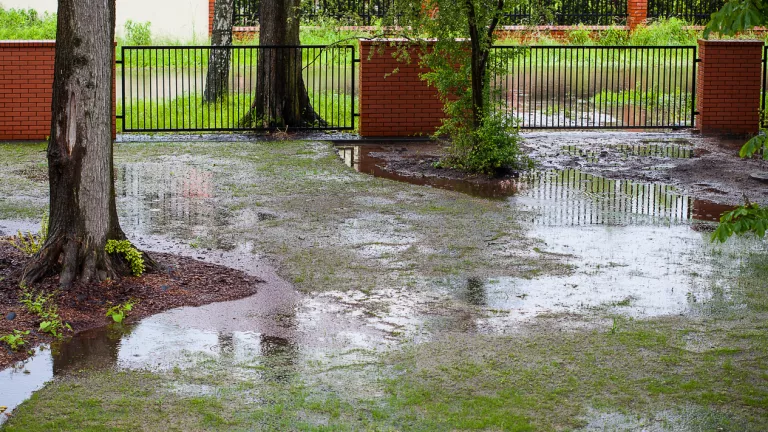 Regenwasserversickerung auf dem eigenen Grundstück: Pflicht oder Kür?