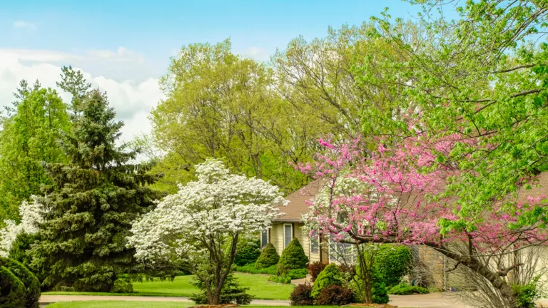 Mit diesen 4 Gestaltungs-Tipps wird der Garten romantischer denn je