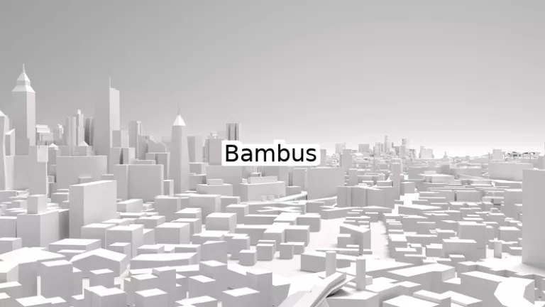 Bambus 