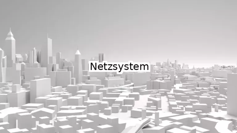 Netzsystem